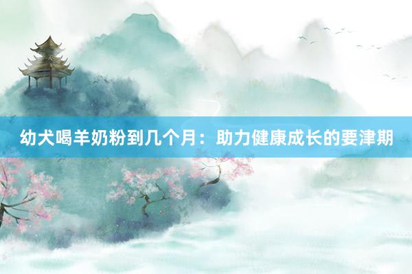 幼犬喝羊奶粉到几个月：助力健康成长的要津期