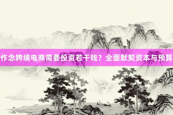 作念跨境电商需要投资若干钱？全面默契资本与预算
