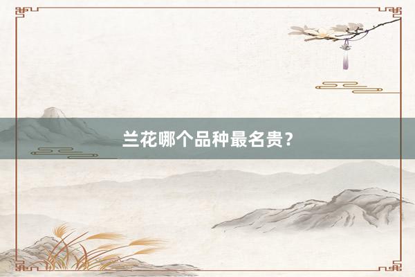 兰花哪个品种最名贵？
