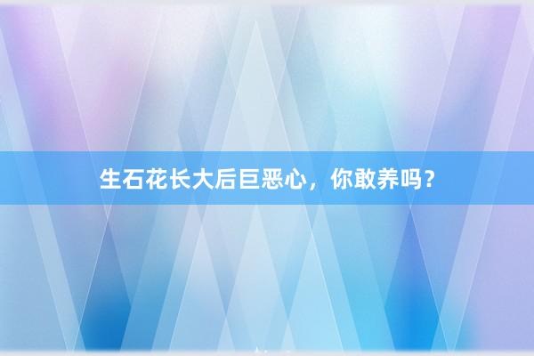 生石花长大后巨恶心，你敢养吗？
